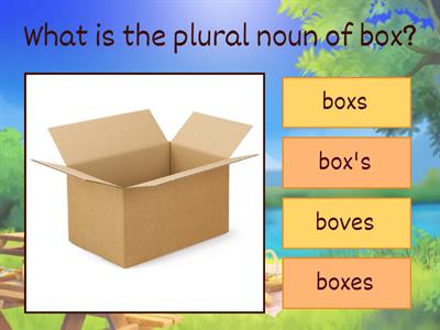 plural noun quiz