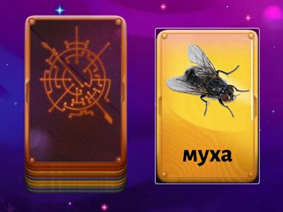  Слоговая структура слова 1класс