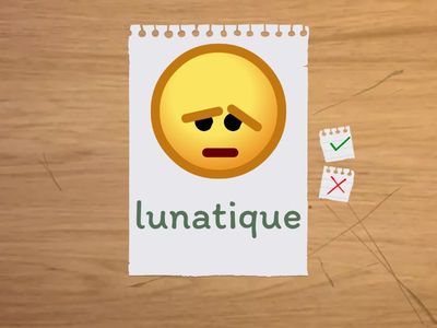 VOC 2 :  personality --- FLASHCARDS