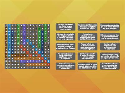 Fungos e Protozoários