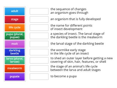 Environments Vocab Review 2