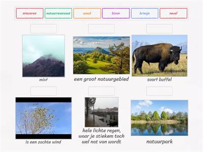 Groep 5 taak 8 woordenschat