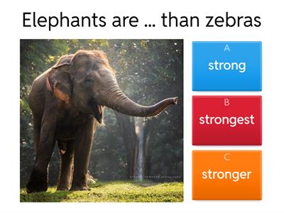 Comparative and superlative