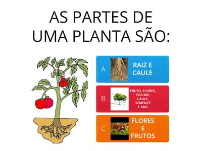 CIÊNCIAS (PLANTAS)