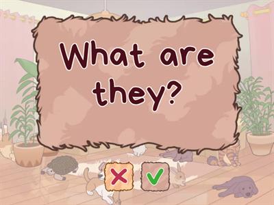 BIG ENGLISH 1- SCHOOL OBJECTS 