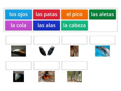 Los Partes de los Animales