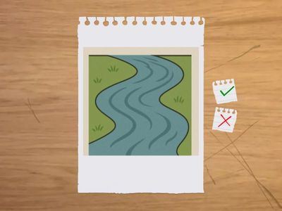 Words with multiple meanings