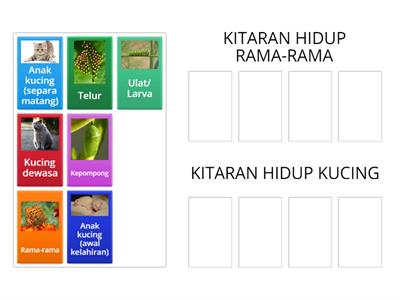 PROSES KITARAN HIDUP HAIWAN