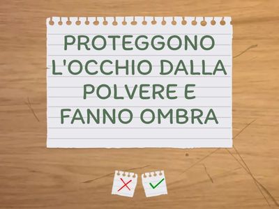 FLASHCARD PARTI DELL'OCCHIO
