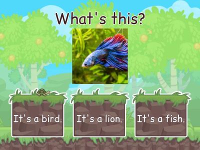 學習扶助-四年級-動物(看圖選句子)