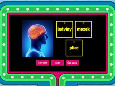 LIDSKÉ TĚLO - vnitřní orgány, smysly