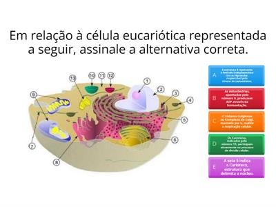 Descobrindo as células