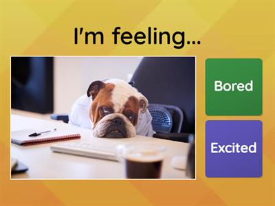 Feelings Greenman B Unit 5 - Zeppelin Idiomas