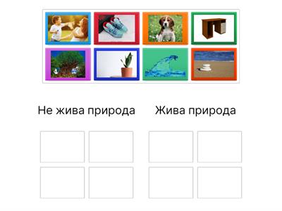 Жива і нежива природа