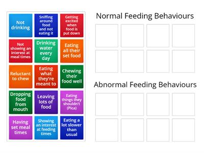 Feeding Behaviours - Dog