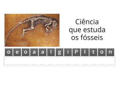 Anagrama com dicas_  Fósseis