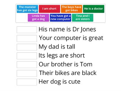 possessive adjectives