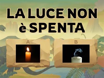 Comprensione frasi negative - affermative