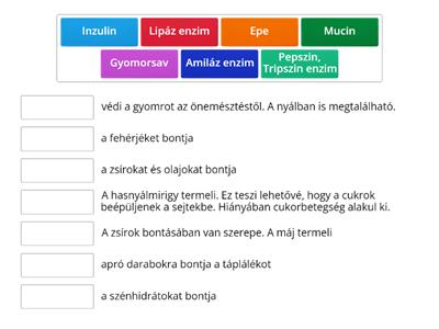 Az emésztőenzimek és az emésztőnedvek