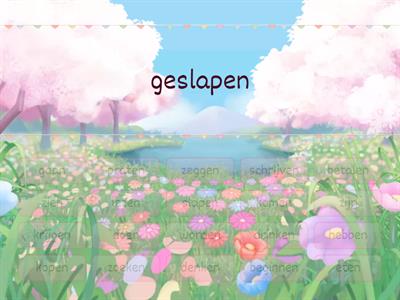 Onregelmatige werkwoorden NT2 A2