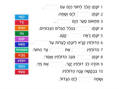 הדולפין המציל - חולם