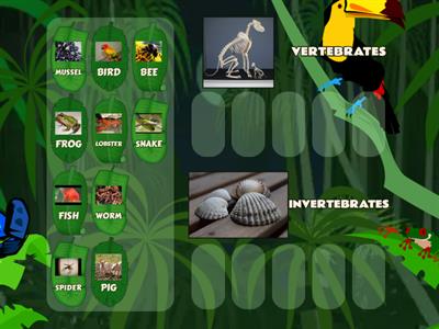 VERTEBRATES AND INVERTEBRATES