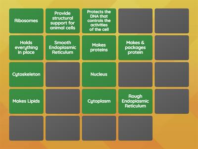 Organelles