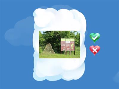 Discover China 2-9 生词