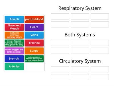 Respiratory v. Circulatory