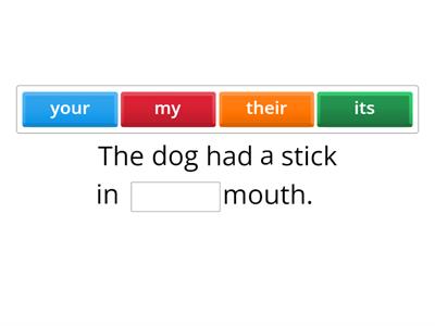 ELD Pronoun & Antecedent Agreement 