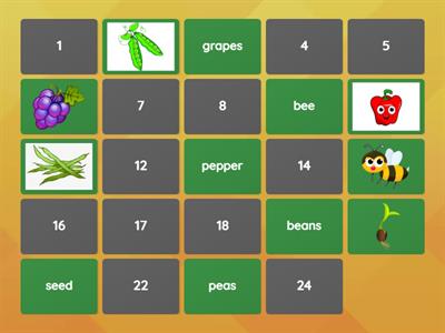 academy stars 2 Unit 8