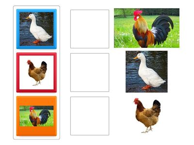 Chưa có tiêu đề2