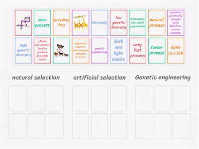 Natural selection, artificial selection, and genetic engineering