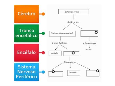 Sistema nervoso