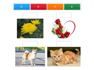 trò chơi học tập nhà trẻ 1