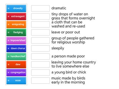 Literacy Vocabulary