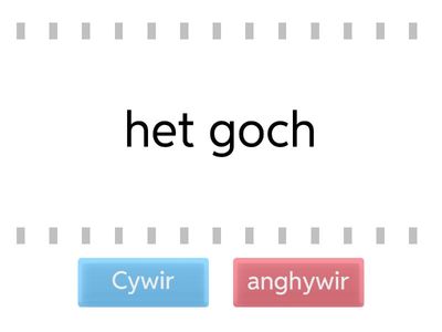 Ydy rhain yn gywir neu'n anghywir?
