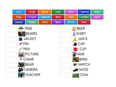 IPA MATCHING PICTURES