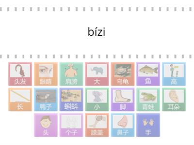 Find the match yct 1 lesson 6