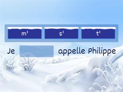 Exercice 1 de grammaire A1