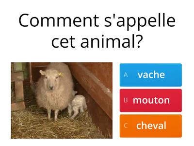 Les animaux