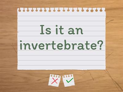 Classification Key question ideas