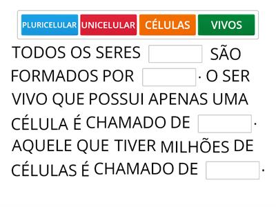 CÉLULAS E NÍVEIS DE ORGANIZAÇÃO - 6°ANO