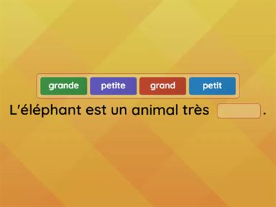 6- Préparation à la dictée-Accords adjectifs
