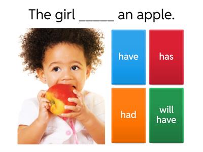  Has/Have/had/will have