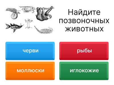 Позвоночные  животные