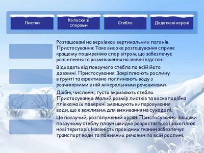 7 клас Лабораторна робота 5