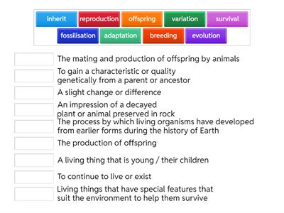 Evolution and Inheritance Vocabulary 