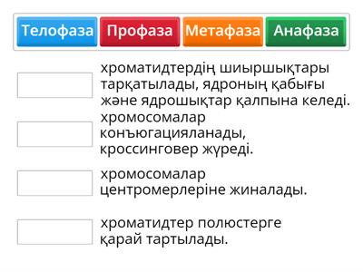 Митоз және мейоз