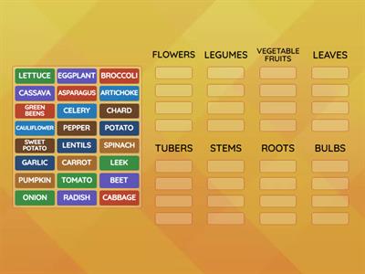 VEGETABLE CLASSIFICATION